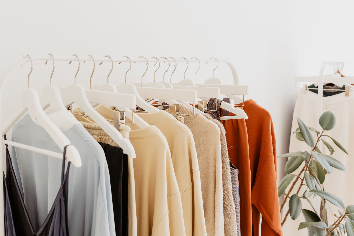 clothing rack of pastel colored clothes in front of a white wall and a plant next to it